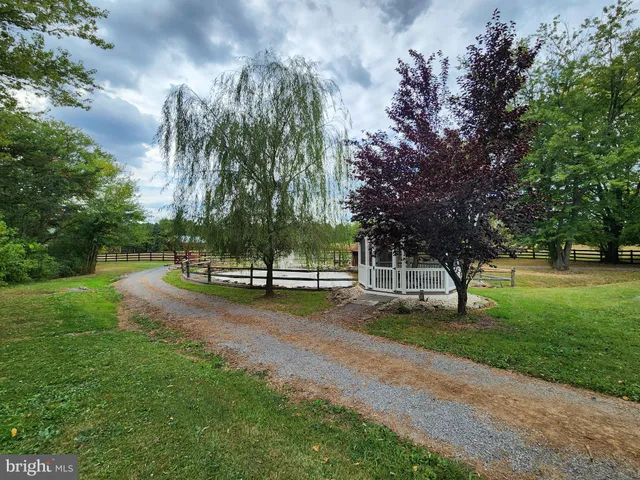 a view of a chairs and table on the patio