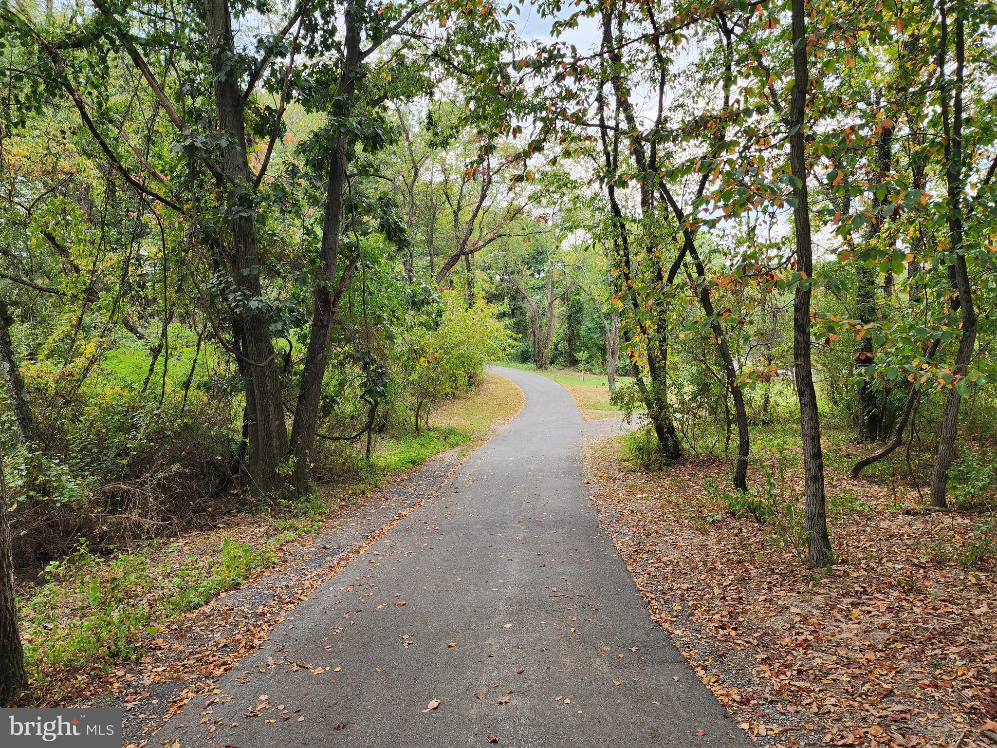 14847 White Oak Ridge Hancock, MD 21750 - Photo 56 of 101 Looking Back Driveway Toward Elise Pond