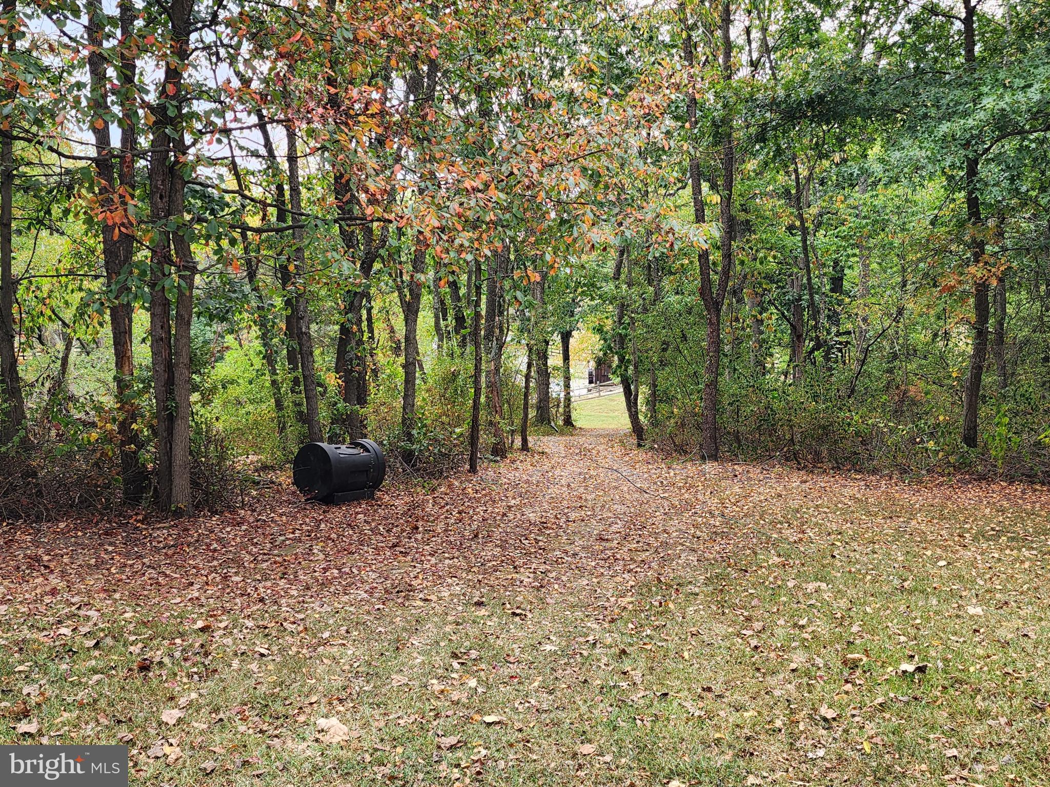 14847 White Oak Ridge Hancock, MD 21750 - Photo 59 of 101 a view of outdoor space with deck and trees