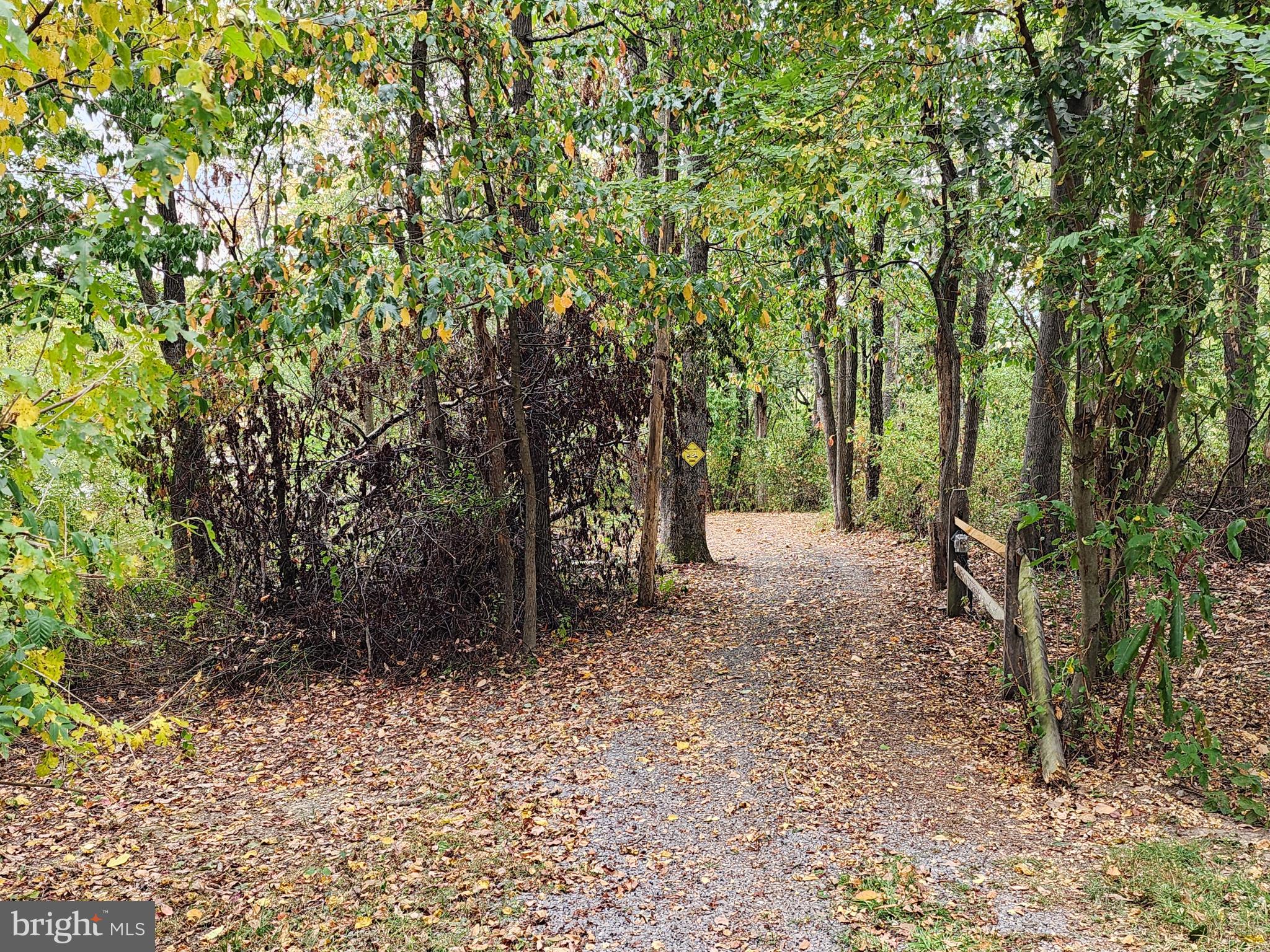 14847 White Oak Ridge Hancock, MD 21750 - Photo 60 of 101 Another View Of Nature Trails