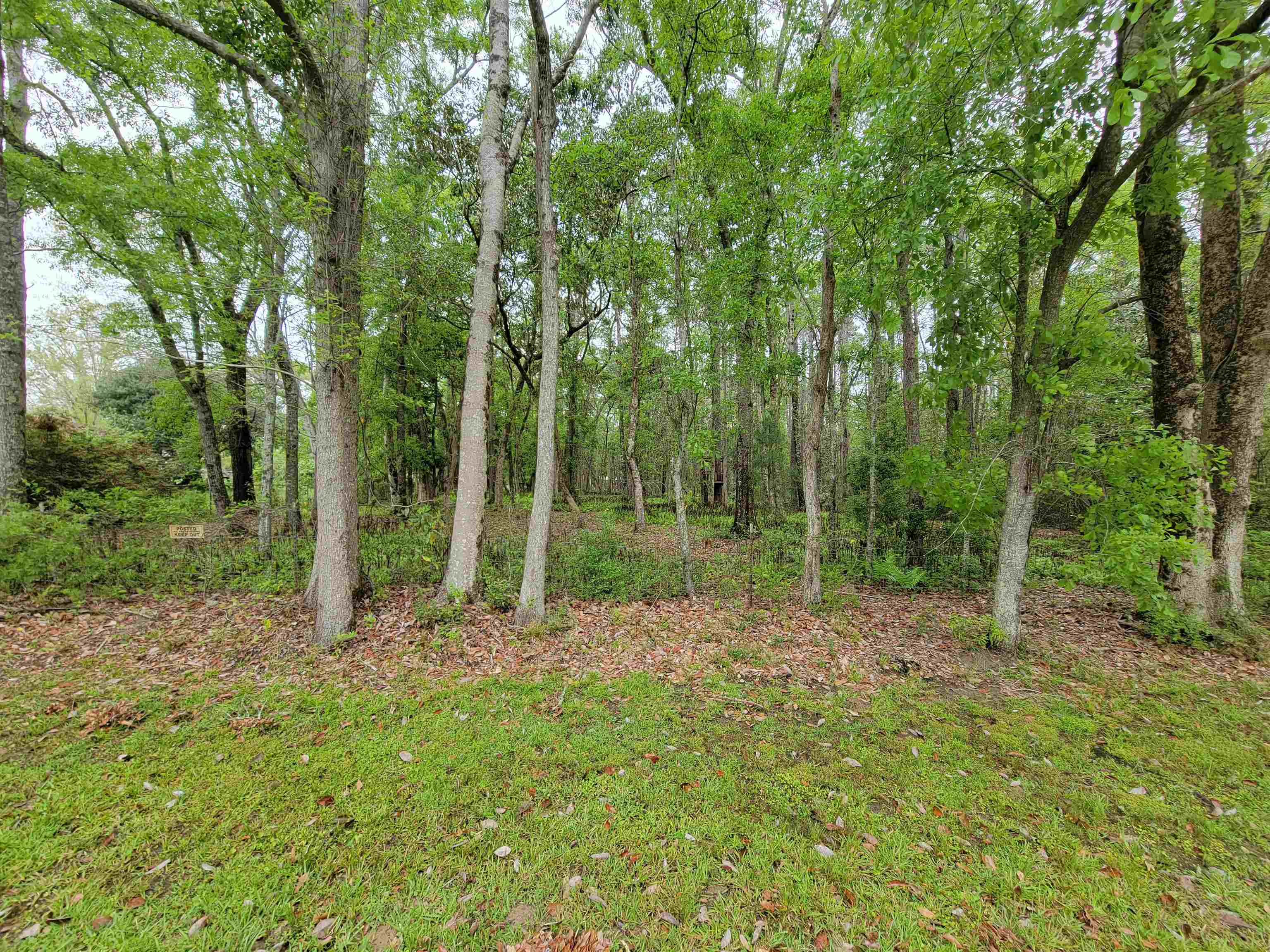 10 County Road Foley, AL 36535 - Photo 2 of 17