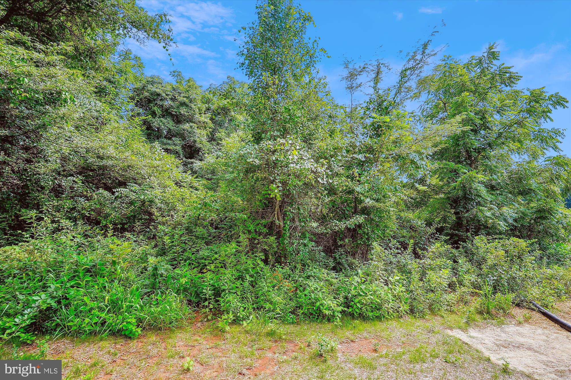 2 Cedar Ridge Road Rapidan, VA 22733 - Photo 12 of 60 View From Back