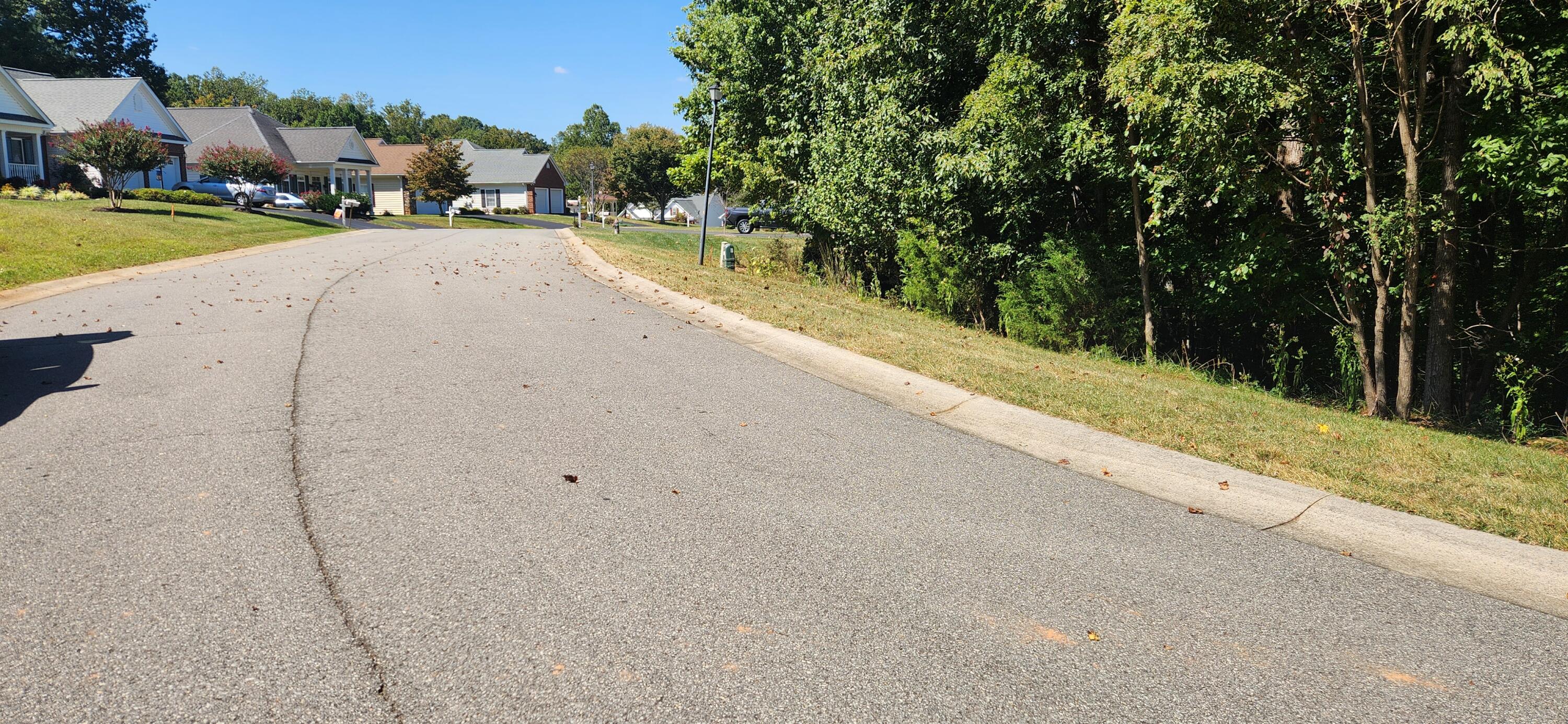 Lot 20 Stoney Mill Road Rocky Mount, VA 24151 - Photo 2 of 4 a view of swimming pool