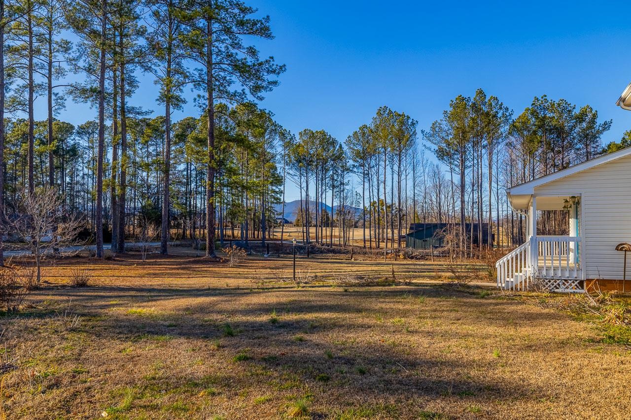 177 Rubin Thorne Road Campobello, SC 29322 - Photo 35 of 50