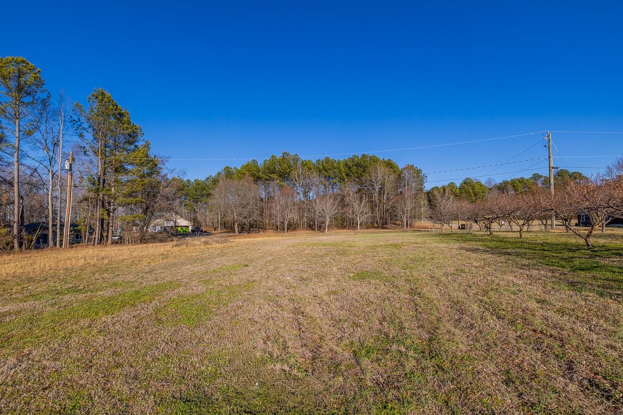 177 Rubin Thorne Road Campobello, SC 29322 - Photo 40 of 50