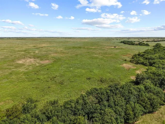 a view of an ocean from a yard