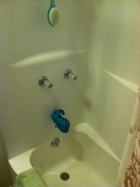 393 Avondale Hollow Road Rutledge, TN 37861 - Photo 11 of 21 bathtub