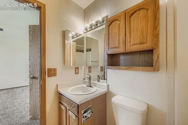 a bathroom with a sink a toilet and potted plant