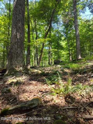 a backyard of a house with a yard