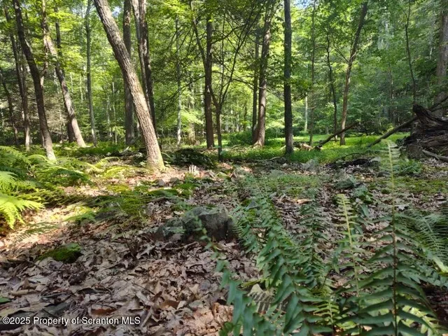 a view of a green field with lots of bushes