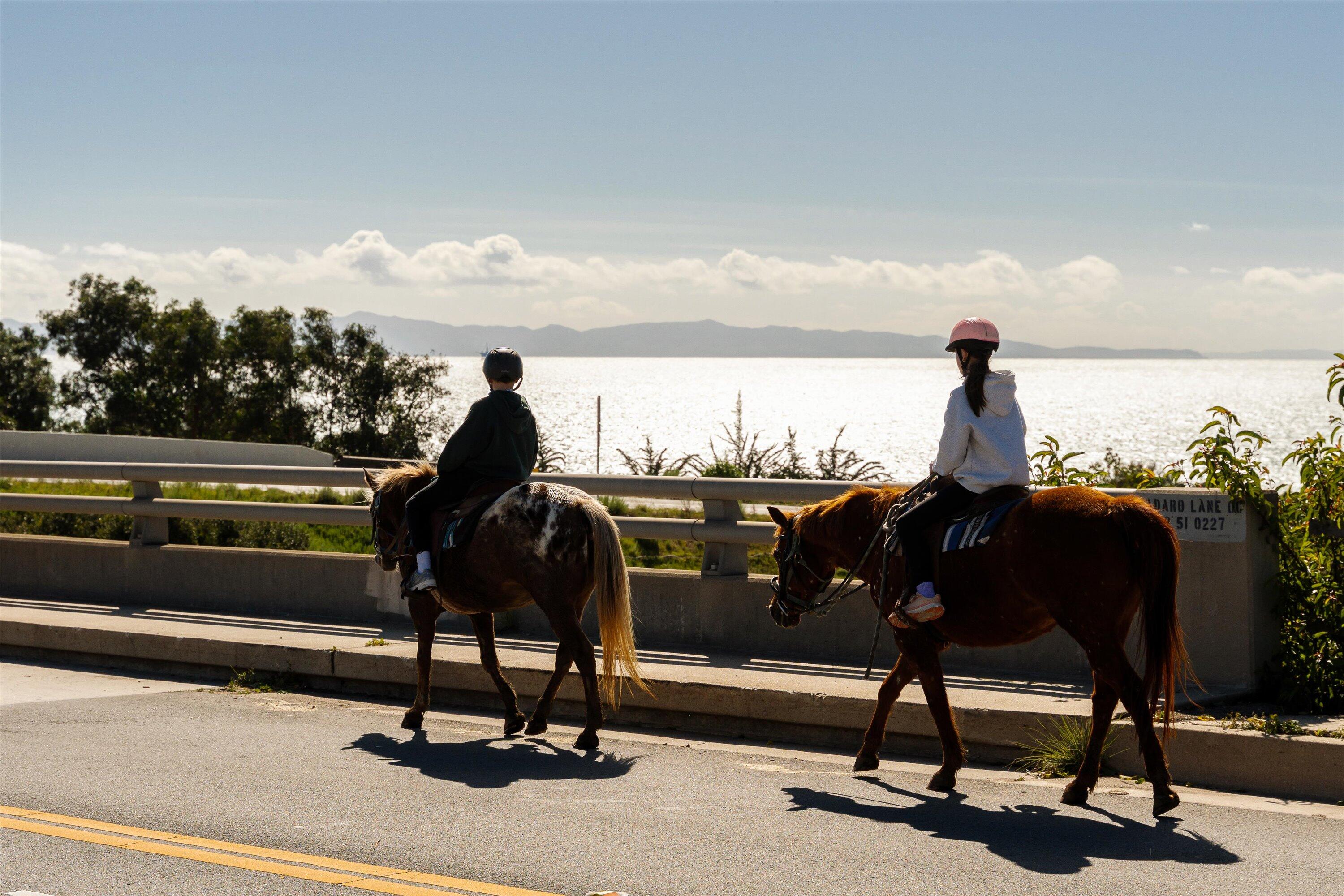 5 Rincon Point Lane Carpinteria, CA 93013 - Photo 30 of 51 31-5 Rincon Pt Ln-31