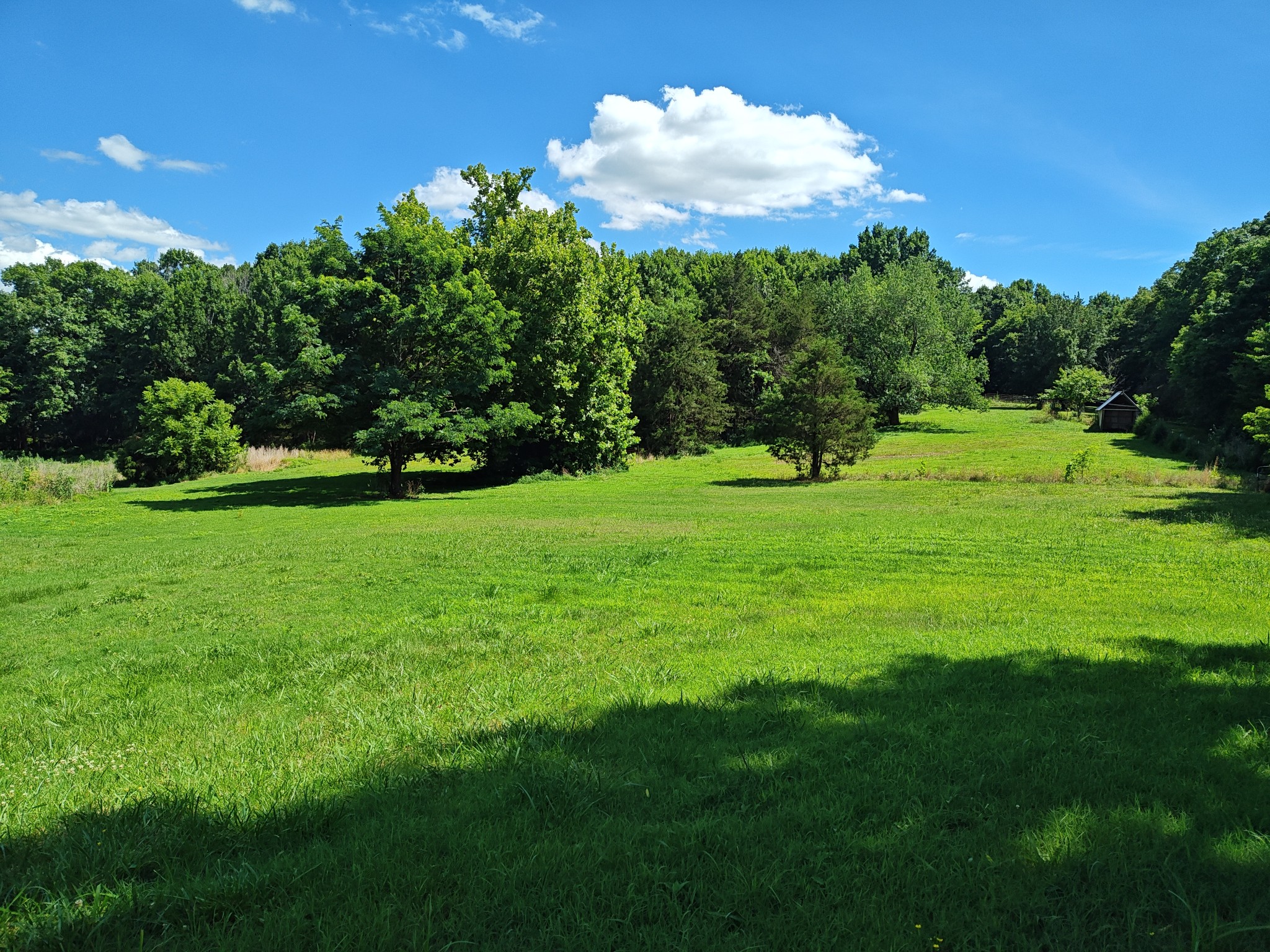 2770 Beech Log Road Watertown, TN 37184 - Photo 69 of 87 a view of a green yard