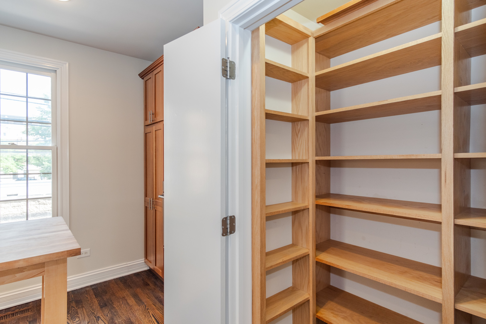 24 North Ada Street, Unit I Chicago, IL 60607 - Photo 12 of 29 a view of walk in closet with empty racks