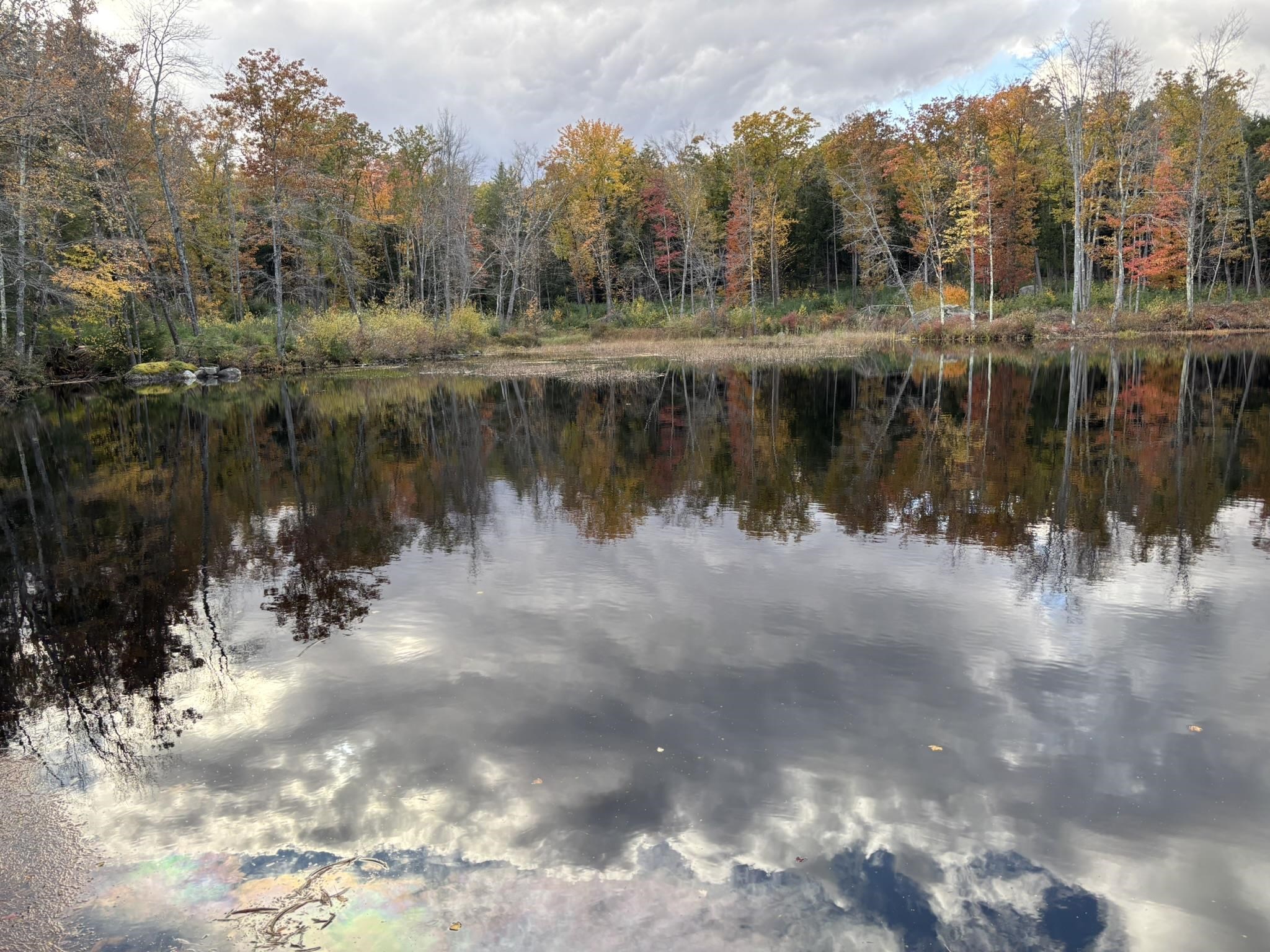 4 Tannery Hill Road Hancock, NH 03449 - Photo 51 of 60