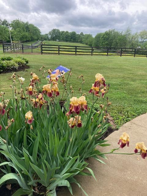 1069 Headquarters Road Carlisle, KY 40311 - Photo 16 of 18 IMG_9118