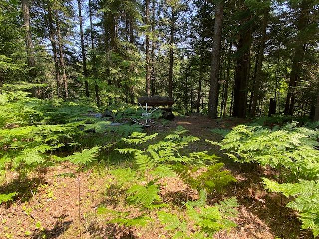 1 Copperhead Row Paradise, MI 49768 - Photo 21 of 24 Gallery Image 21