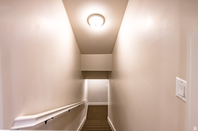1283 North Gallen Road Santa Clara, UT 84765 - Photo 46 of 103 Stairway with carpet flooring going downstairs to the basement storage area.