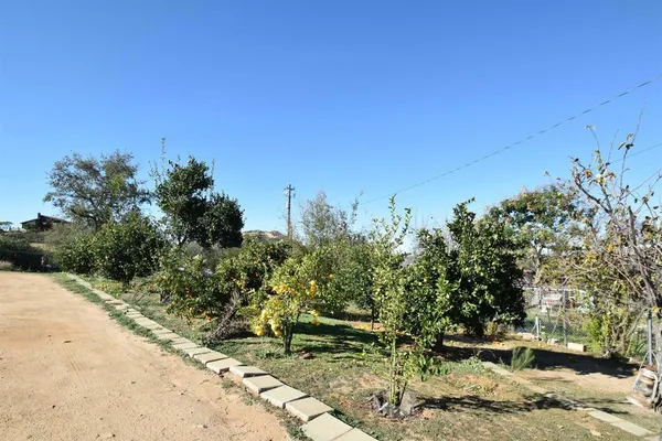 a pathway of a yard