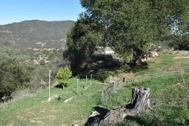 a view of an outdoor space and a yard