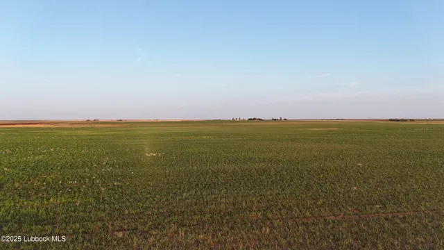 a view of lake with green space