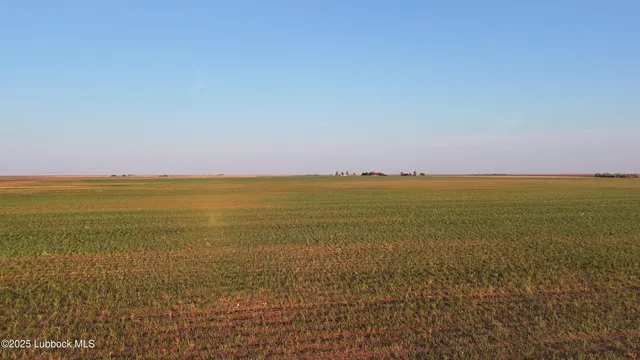a view of an ocean from a beach