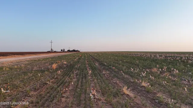 a view of an ocean and beach