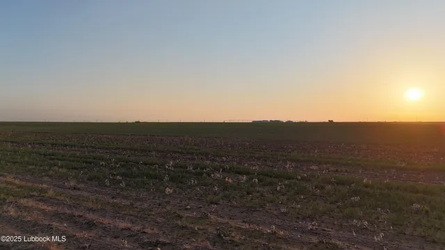 a view of an ocean beach