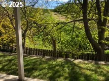 a view of backyard with tree