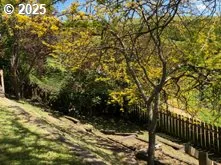 a view of a yard with wooden fence