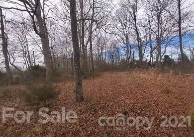 0 Pete Mauney Road Lawndale, NC 28090 - Photo 3 of 3 Gallery Image 3