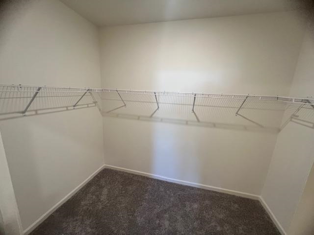 348 Azimuth Drive Conway, SC 29526 - Photo 10 of 12