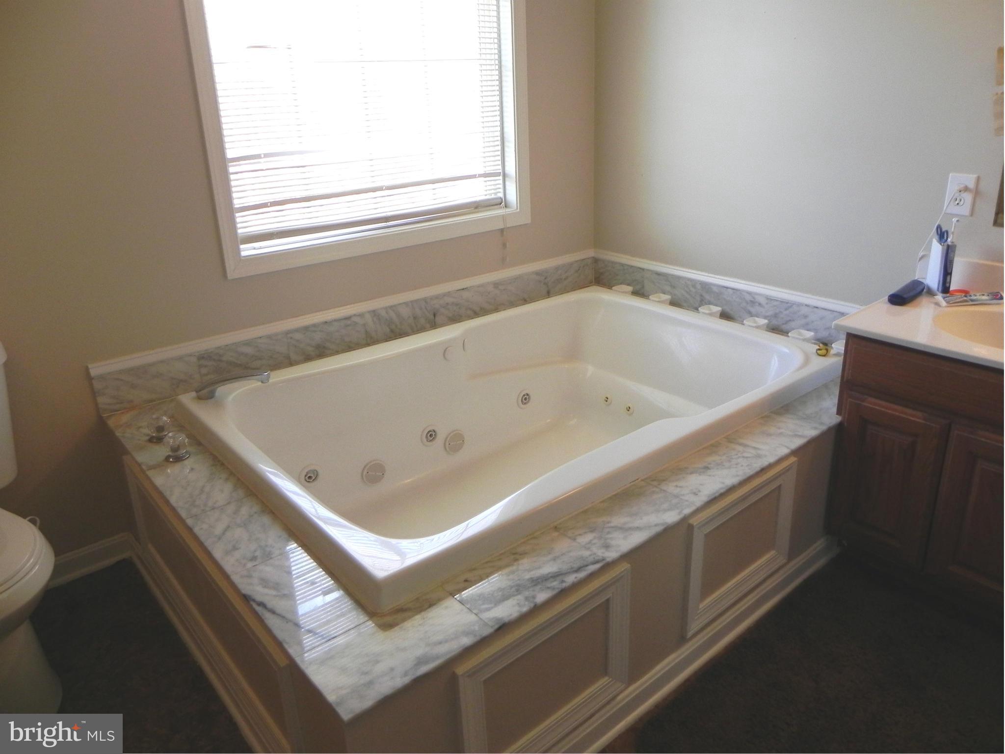 451 Quail Run Road Summit Point, WV 25446 - Photo 17 of 30 Bath (Master)