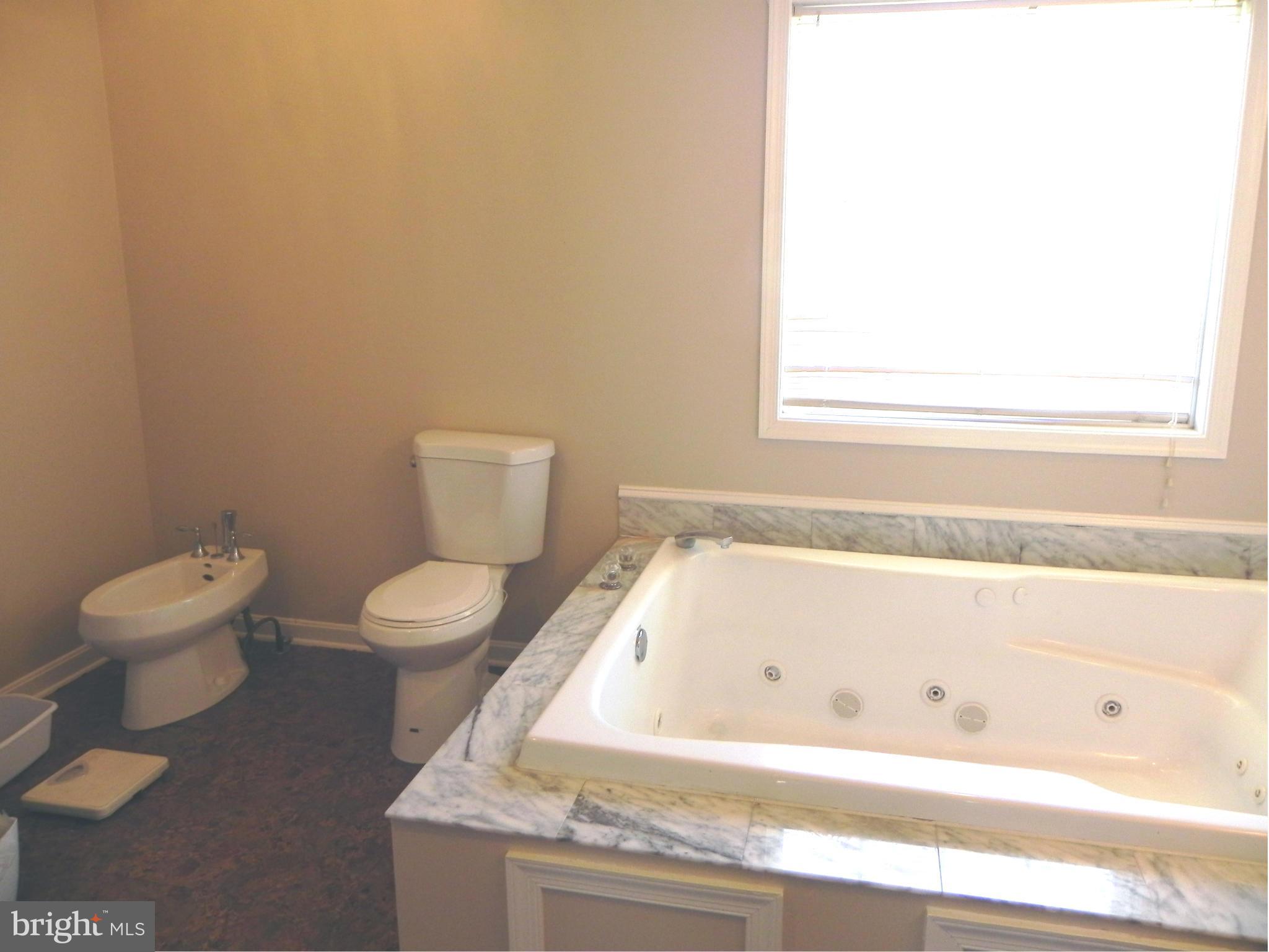 451 Quail Run Road Summit Point, WV 25446 - Photo 18 of 30 Bath (Master)