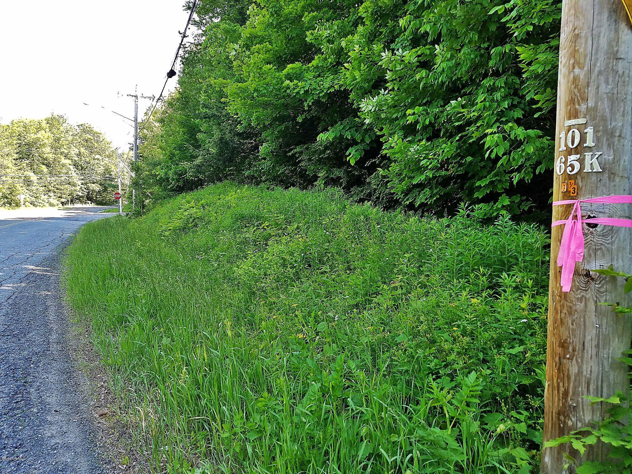 0 North State Road Cheshire, MA 01225 - Photo 1 of 4 Reservoir Rd View to Rte 8