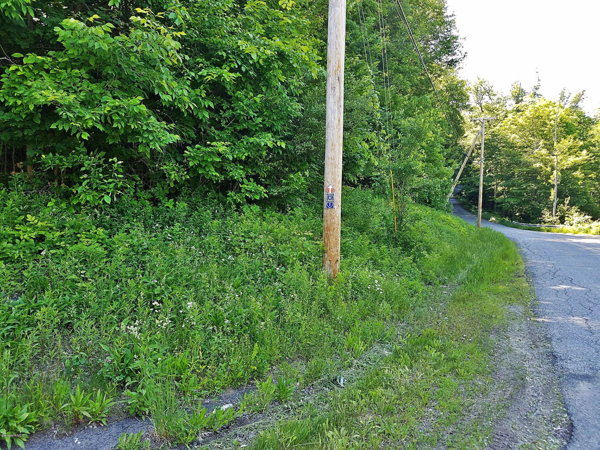 0 North State Road Cheshire, MA 01225 - Photo 3 of 4 Land View Down Reservoir Rd