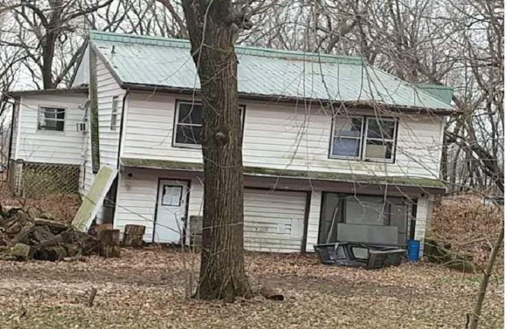 a view of a house with a yard and large tree
