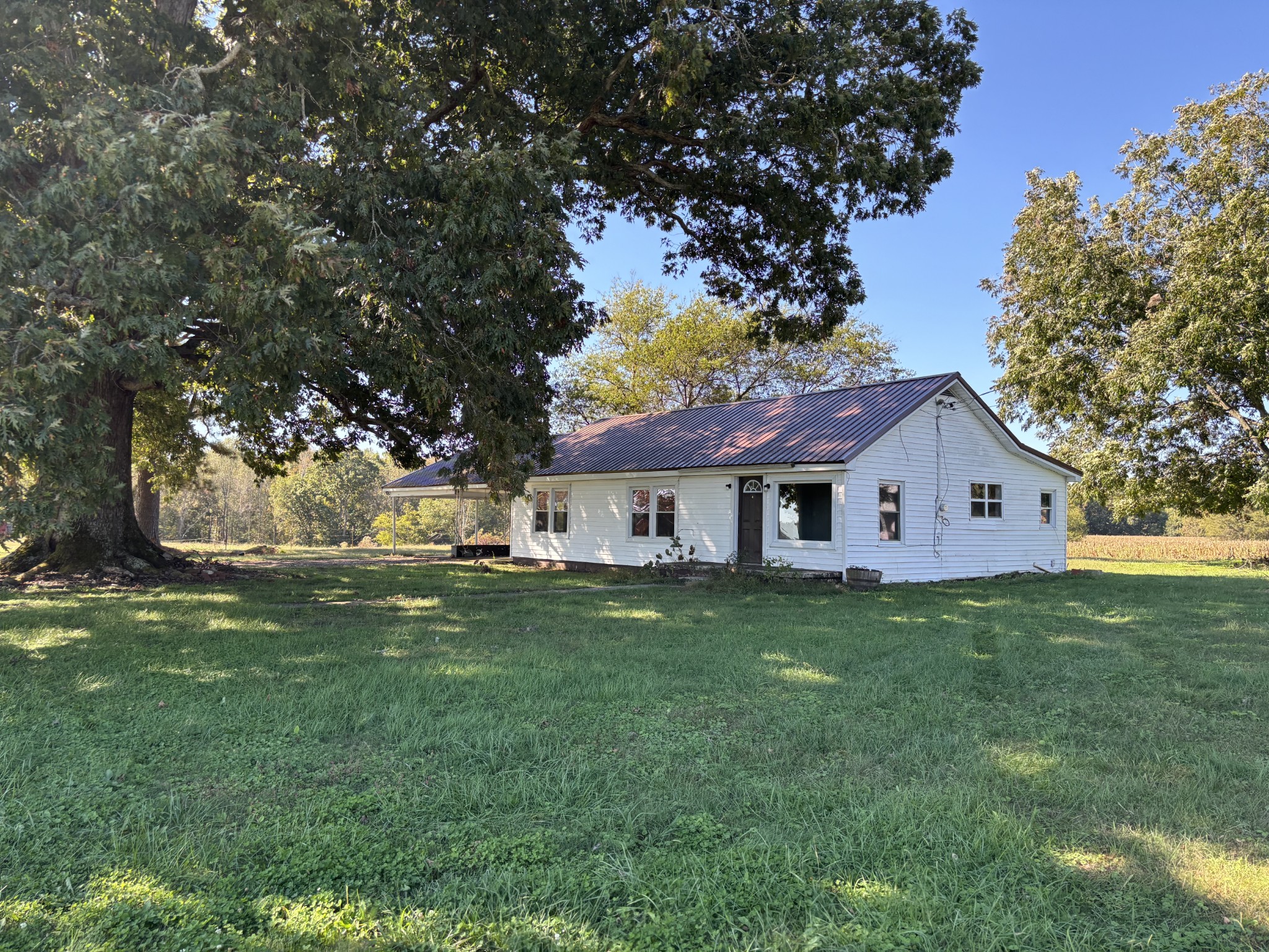 a front view of house with yard and green space