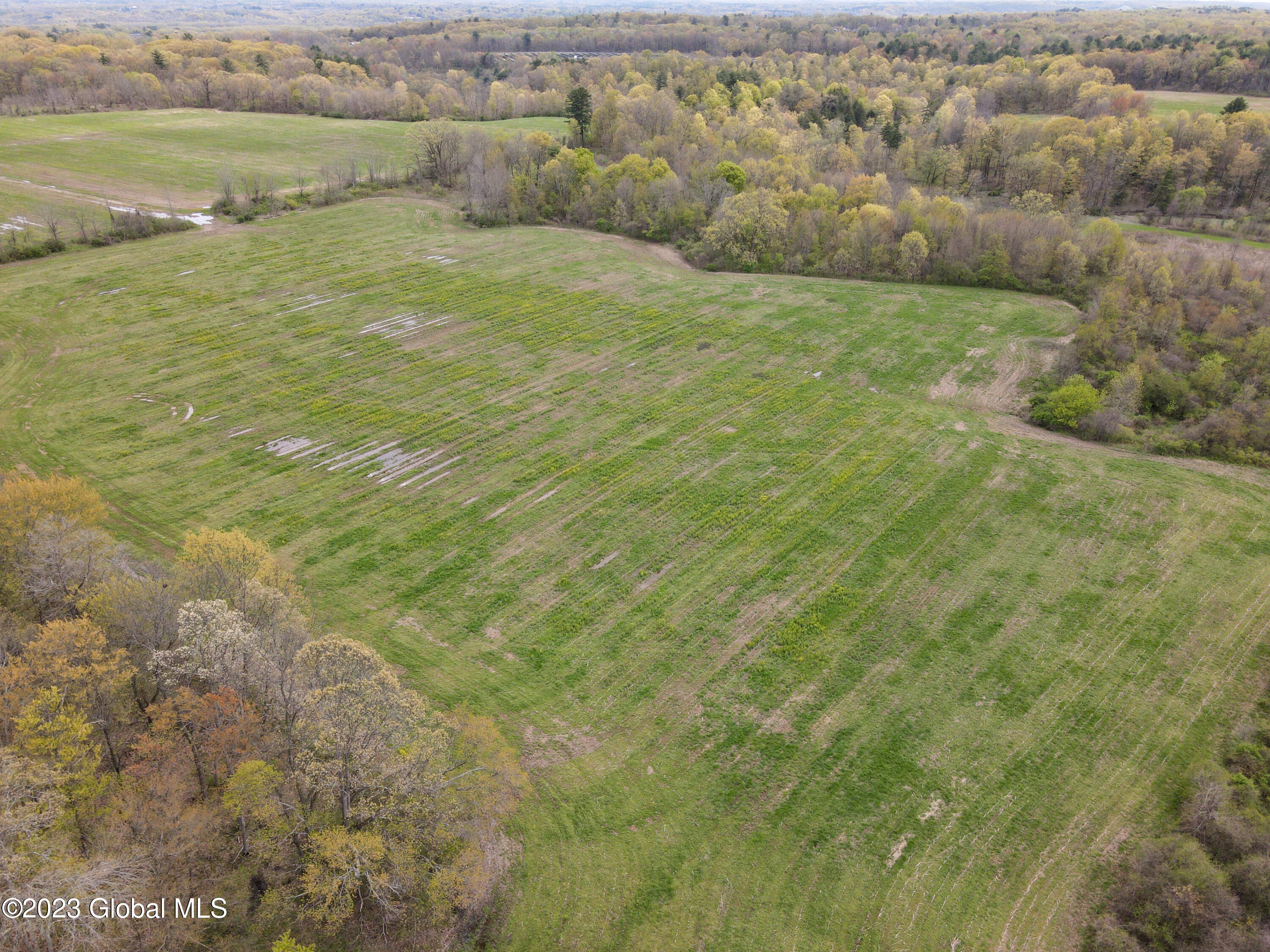 292 Clapper Road Bethlehem, NY 12158 - Photo 8 of 13 exterior