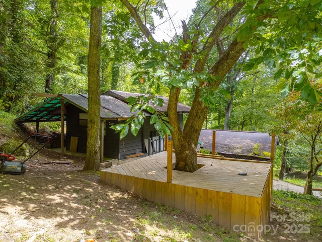 a view of yard with large trees
