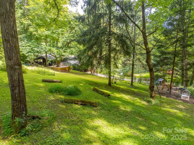 a view of a mountain in the distance in a field