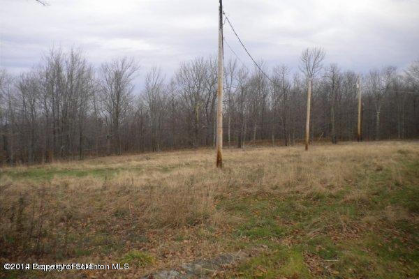 5250 Bloomington Road Moscow, PA 18444 - Photo 8 of 8 Utility lines on and into property