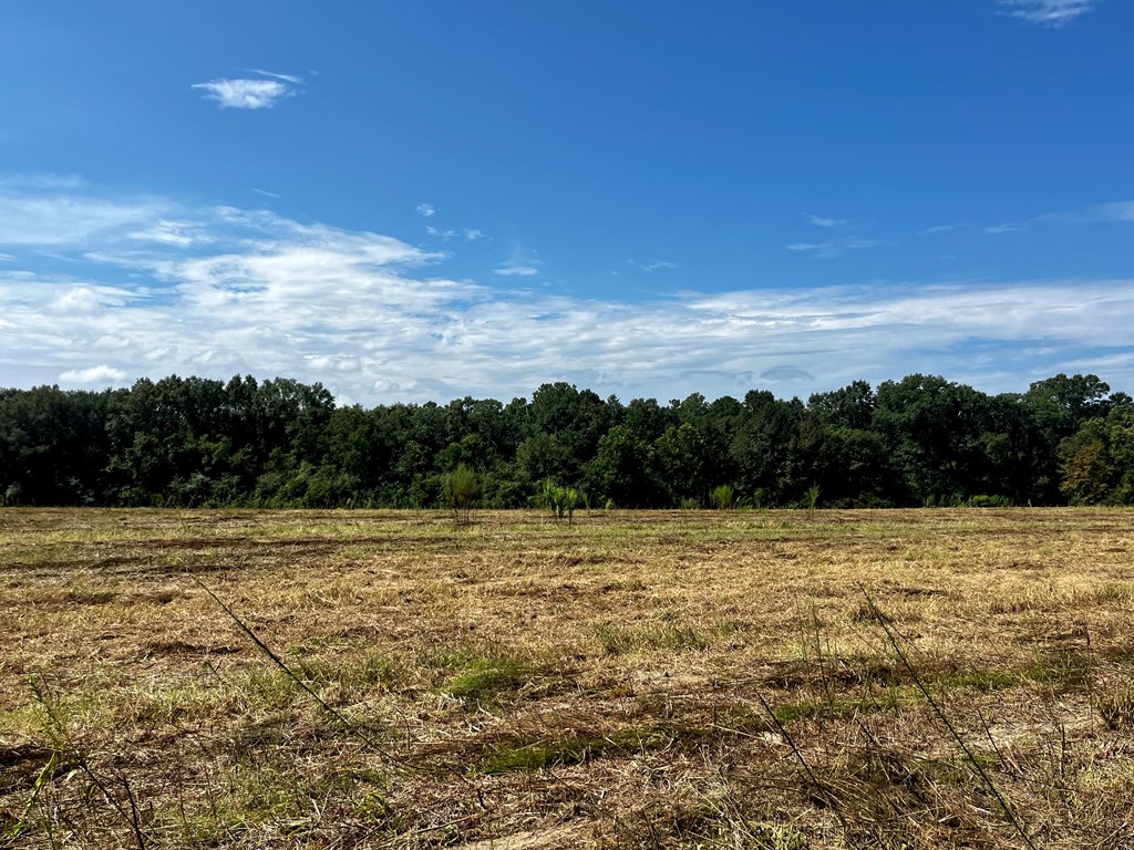 149 East County Road Slocomb, AL 36375 - Photo 39 of 40