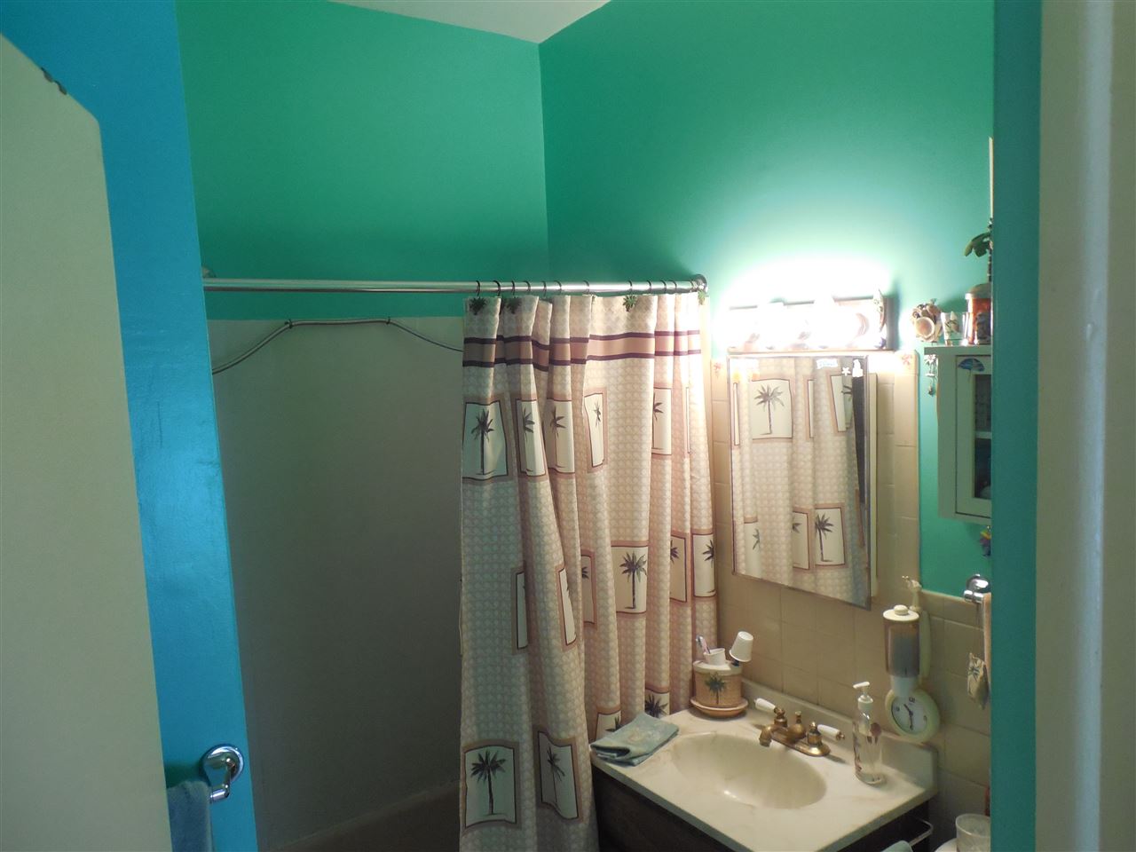 517 North Main Street Rochelle, IL 61068 - Photo 10 of 16 a bathroom with a sink a toilet and shower