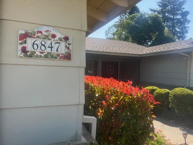 6847 Atlanta Circle Stockton, CA 95219 - Photo 1 of 1 a backyard of a house