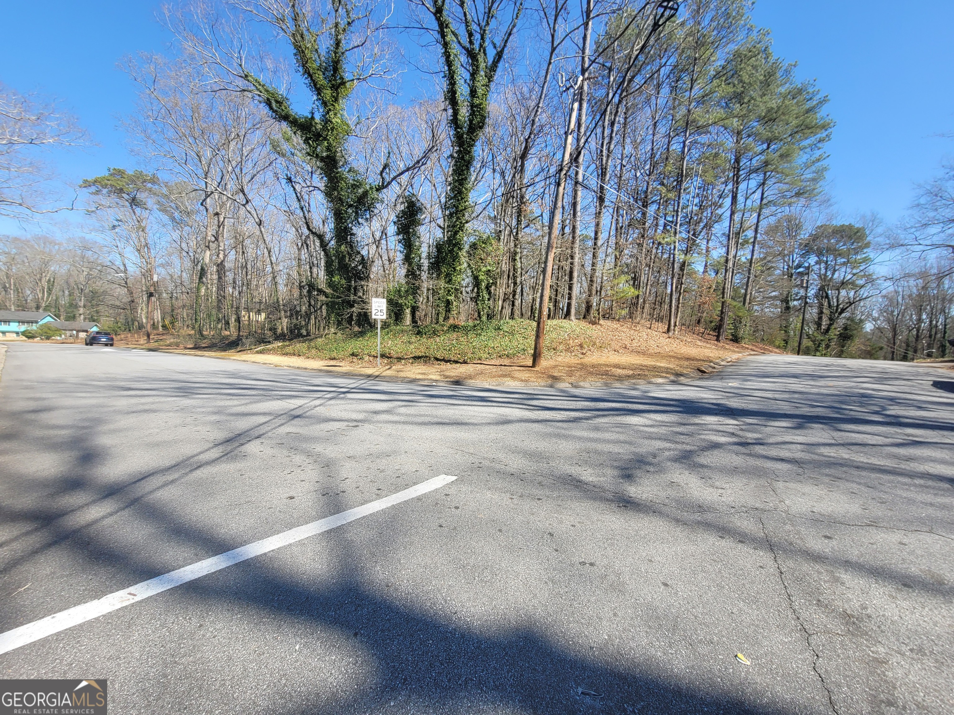 438 Hickory Hills Trail Stone Mountain, GA 30083 - Photo 2 of 5 a view of yard with trees