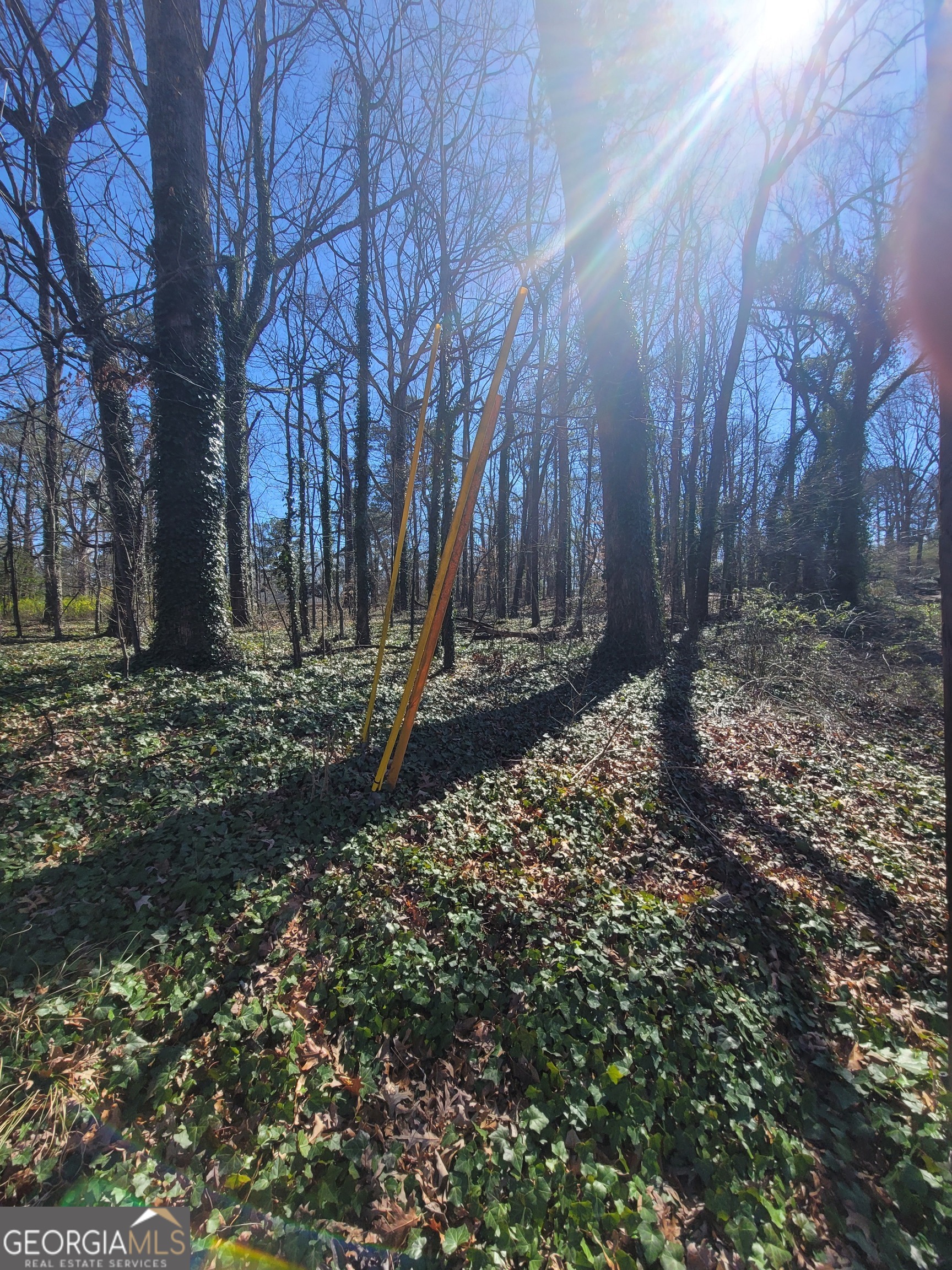 438 Hickory Hills Trail Stone Mountain, GA 30083 - Photo 4 of 5 a view of a yard with trees