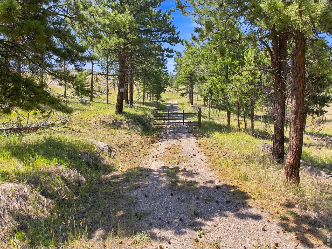 2721 Davis Ranch Road Bellvue, CO 80512 - Photo 1 of 26 Welcome home to the mountain!