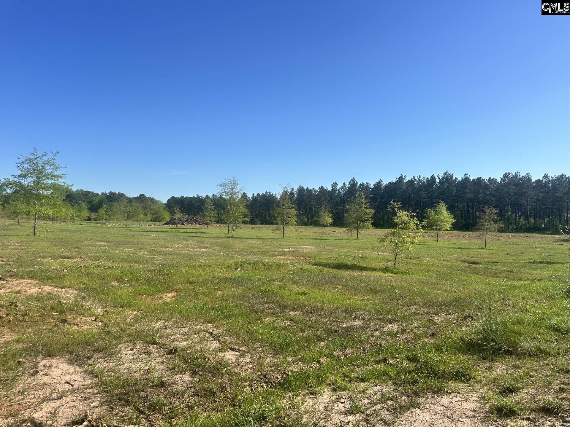2145 Livingston Road Pomaria, SC 29126 - Photo 3 of 7