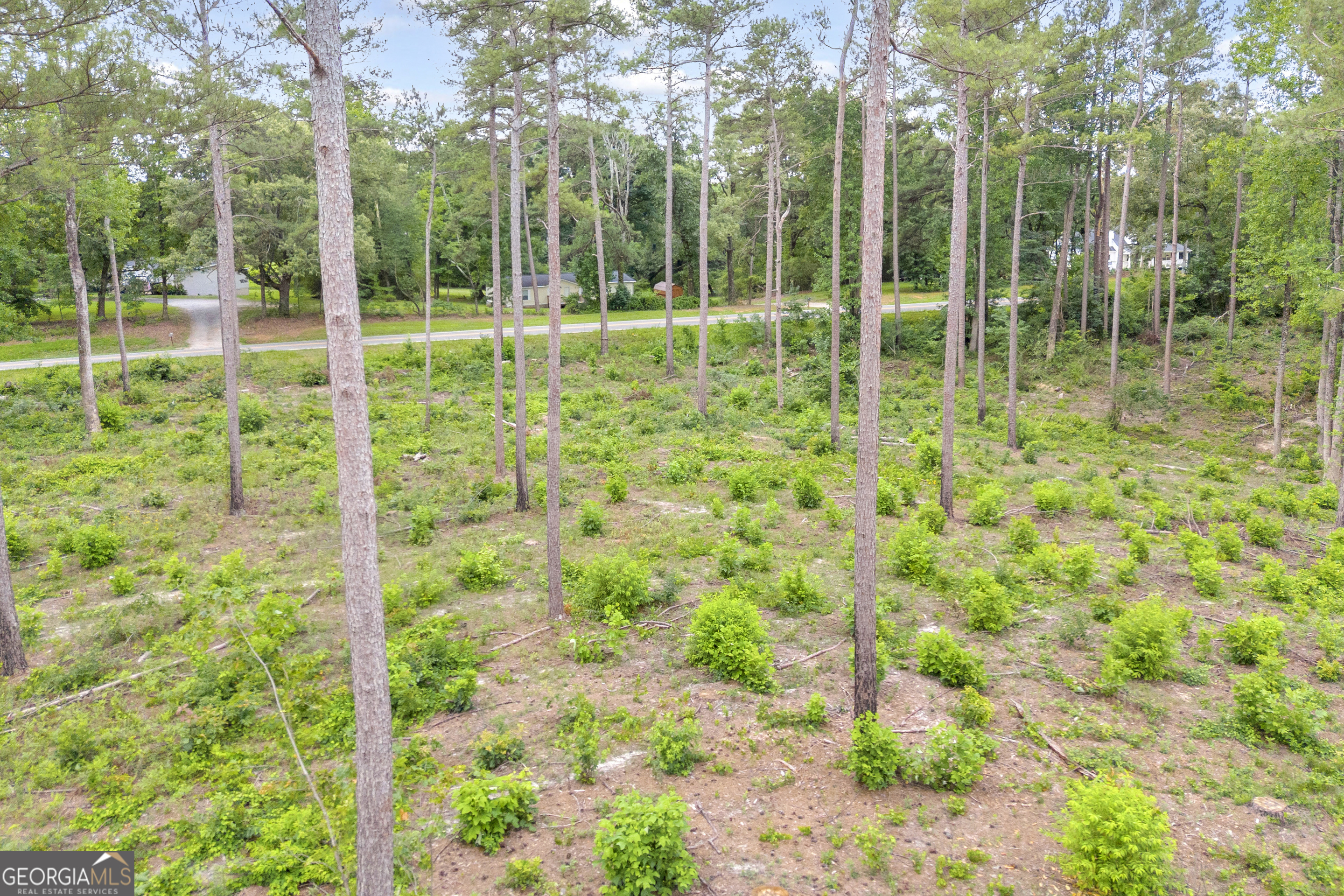 0 Mt Sinai Road, Unit LOT 1 Lula, GA 30554 - Photo 26 of 67