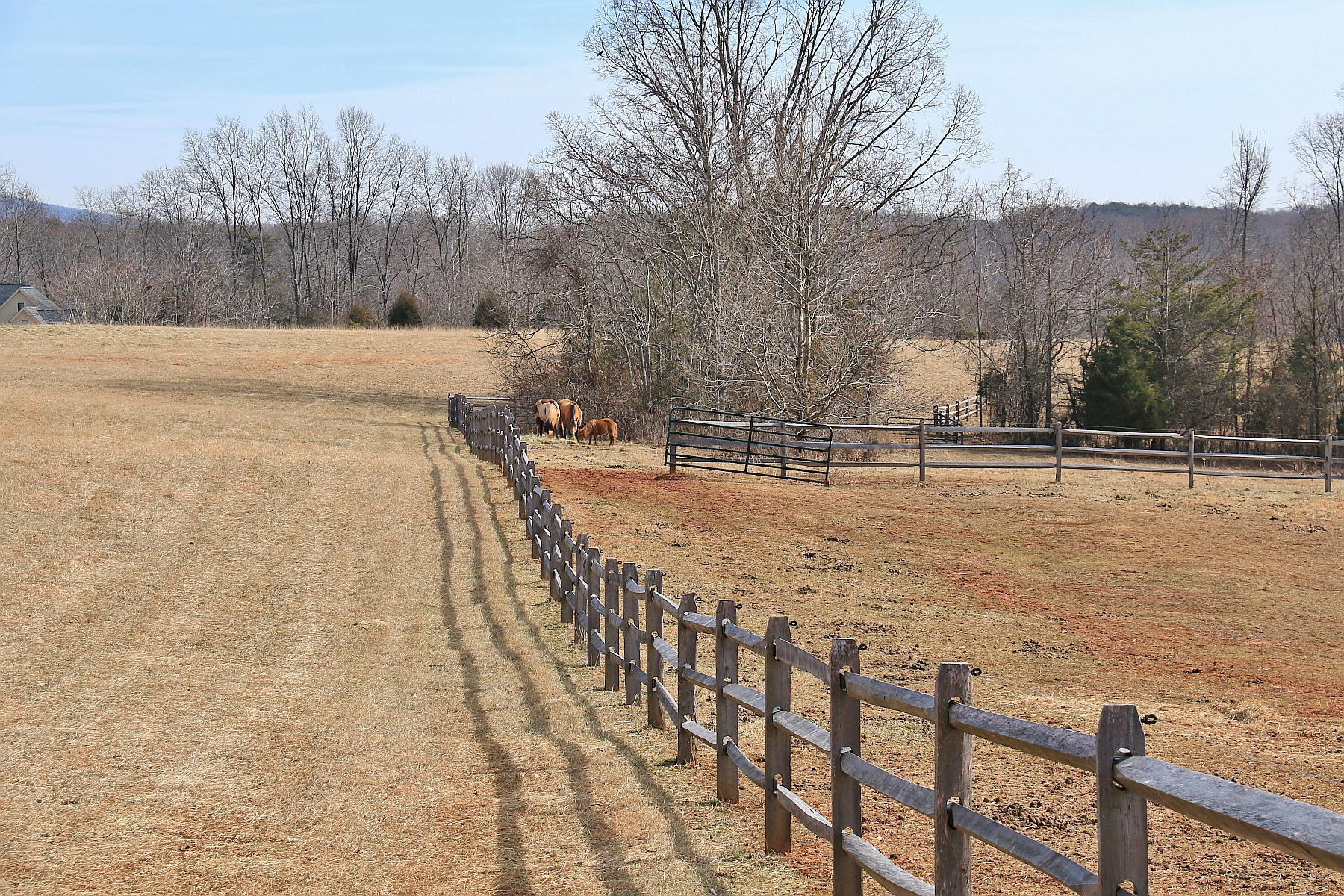 0 Cedar Ridge Road Union Hall, VA 24176 - Photo 24 of 35 a view of outdoor space with trees